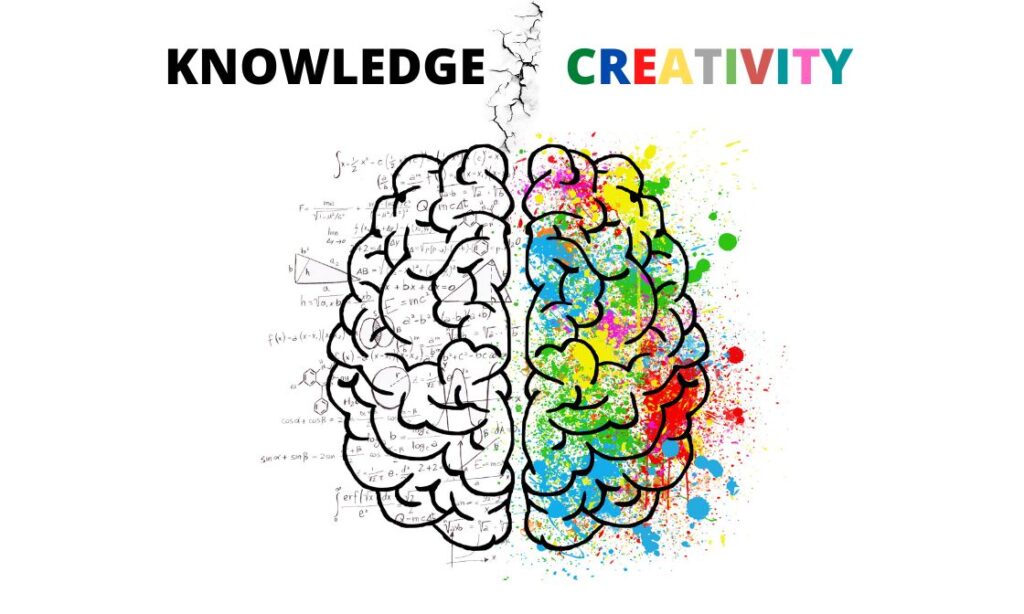 creativity or knowledge - what do you prefer | Brain image showing creativity and knowledge